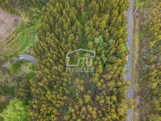 Terrenos Calheta Ilha da Madeira DLS90921503
