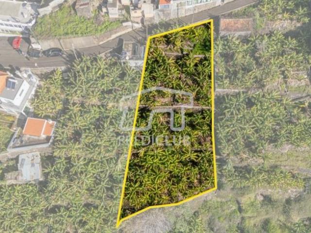 Terrenos Calheta Ilha da Madeira DLS98439330