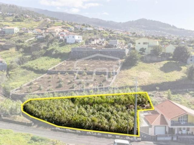Terrenos Calheta Ilha da Madeira DS99932305