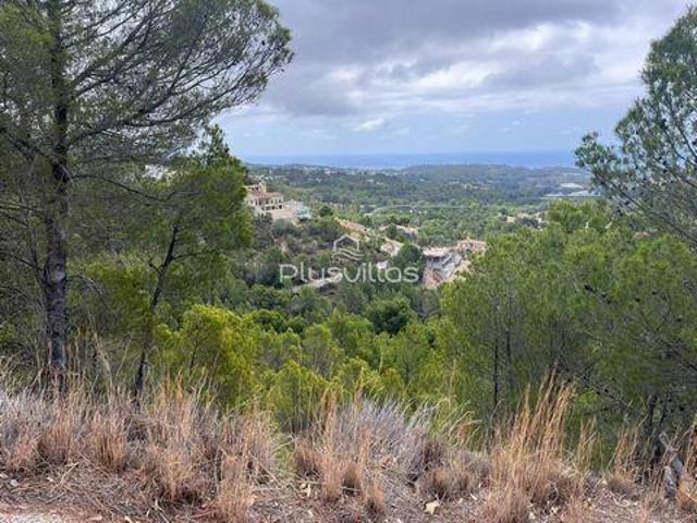 Terrenos Callosa D'En Sarria Alicante Alacant LS96324098