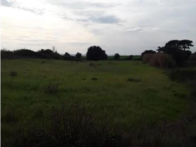 Terrenos Cartaxo Cartaxo DLS87037810