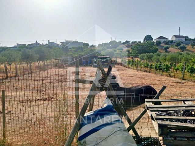 Terrenos Cartaxo Cartaxo DS94352435