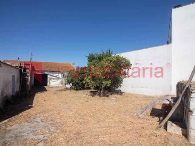 Terrenos Cartaxo Cartaxo DS94818995