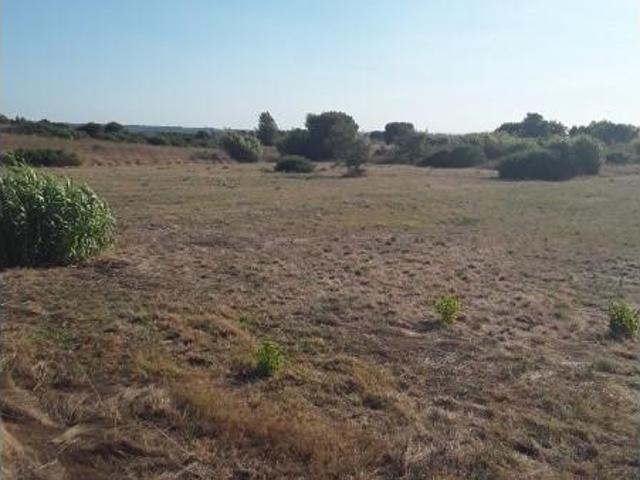 Terrenos Cartaxo Cartaxo DS96062227