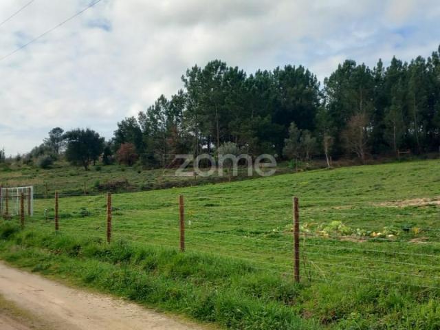 Terrenos Cartaxo Cartaxo DS96983984
