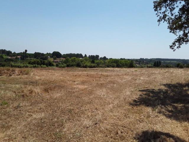 Terrenos Cartaxo Cartaxo DS97119986