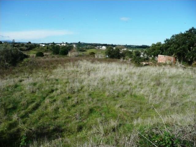Terrenos Cartaxo Cartaxo DS103079696