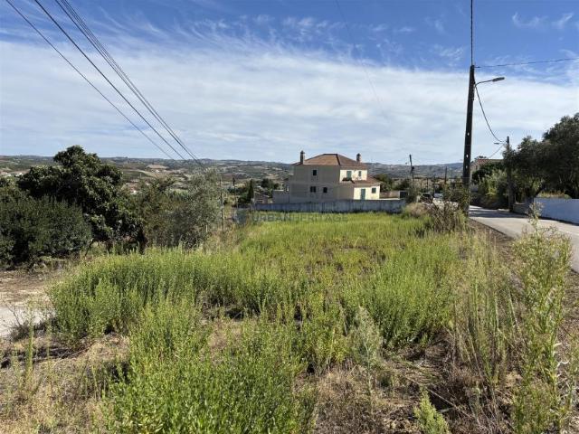 Terrenos Carvoeira Torres Vedras 2565 DLS102731364