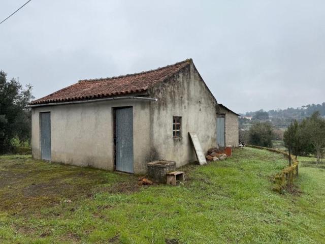 Terrenos Carregal do Sal Carregal do Sal DS99566560