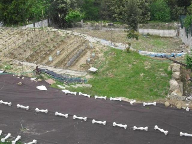 Terrenos Castellgali Barcelona 96291314