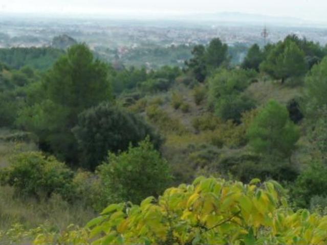 Terrenos Castellvell Del Camp Spanien 96269168