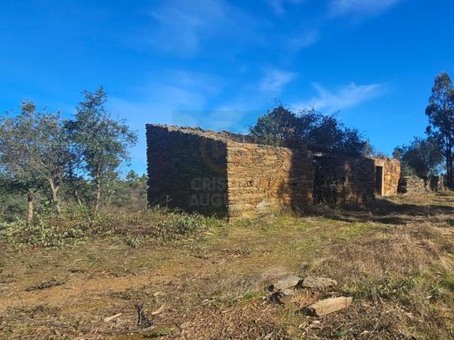 Terrenos Castelo Branco Castelo Branco 6005 DS96684776