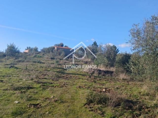 Terrenos Castelo Branco Castelo Branco 6005 DS99794956