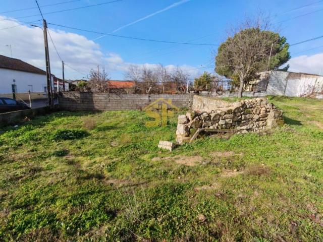 Terrenos Castelo Branco Castelo Branco 6005 DS99283423