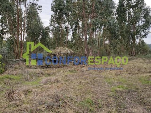 Terrenos Castelo Branco Castelo Branco 6000 DS97024680