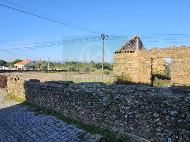 Terrenos Castelo Branco Castelo Branco 6000 DS98394597