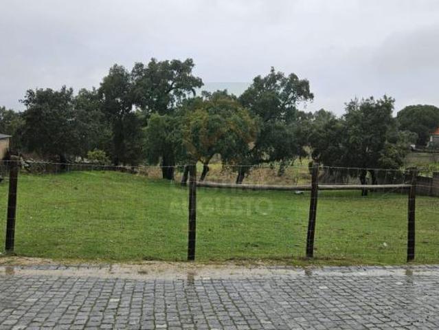 Terrenos Castelo Branco Castelo Branco 6000 DS99721026