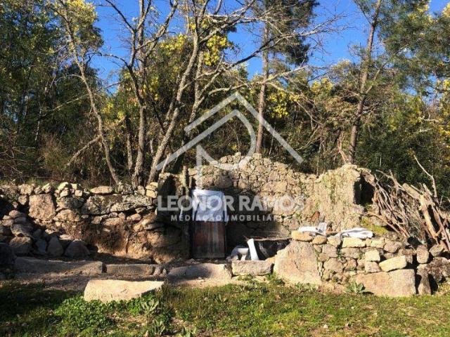 Terrenos Castelo Branco Castelo Branco 6000 DS99825465