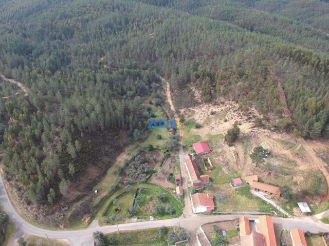 Terrenos Castelo Branco Castelo Branco DLS73397243