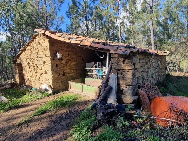 Terrenos Castelo Branco Castelo Branco DLS78384694