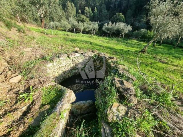 Terrenos Castelo Branco Castelo Branco DLS78384712