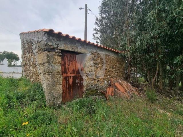 Terrenos Castelo Branco Castelo Branco DLS78384718