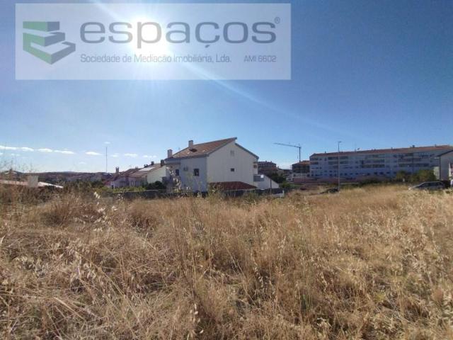 Terrenos Castelo Branco Castelo Branco DLS88782111
