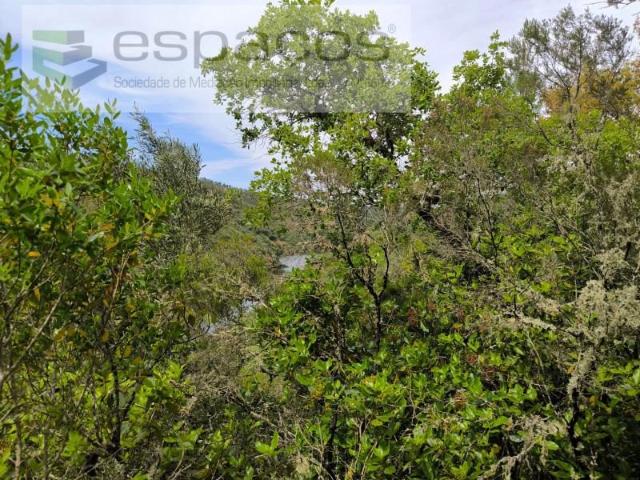 Terrenos Castelo Branco Castelo Branco DLS92229039