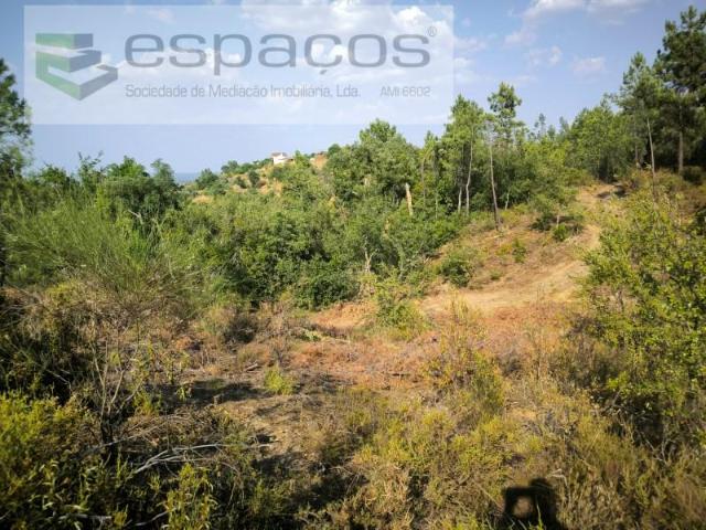Terrenos Castelo Branco Castelo Branco DLS95388320