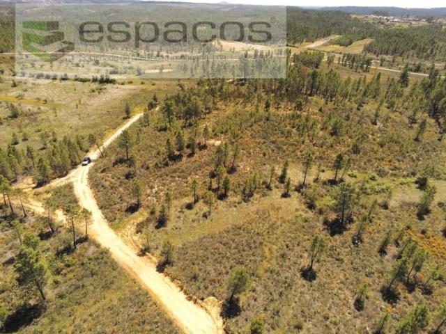 Terrenos Castelo Branco Castelo Branco DLS95660262