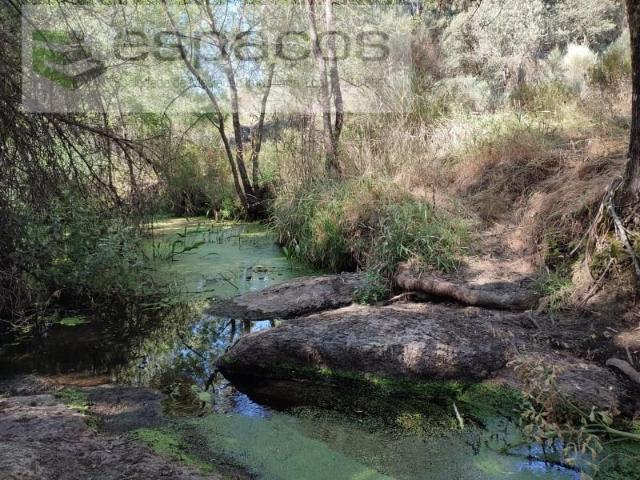 Terrenos Castelo Branco Castelo Branco DLS97118465