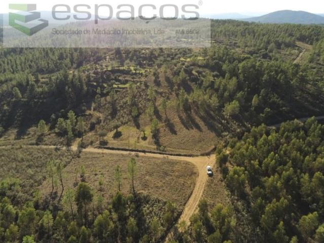 Terrenos Castelo Branco Castelo Branco DLS97119176