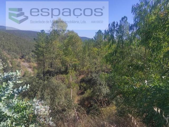 Terrenos Castelo Branco Castelo Branco DLS97120202