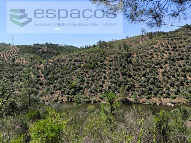 Terrenos Castelo Branco Castelo Branco DLS97120328