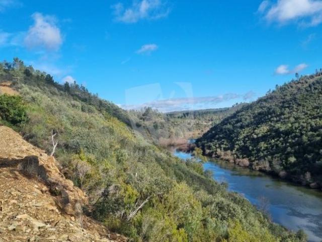 Terrenos Castelo Branco Castelo Branco DLS98276599
