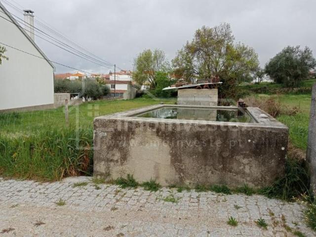 Terrenos Castelo Branco Castelo Branco DLS98277474