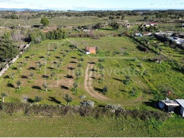 Terrenos Castelo Branco Castelo Branco DLS98867379