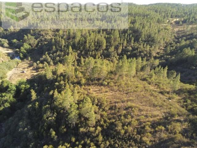 Terrenos Castelo Branco Castelo Branco DLS99248356