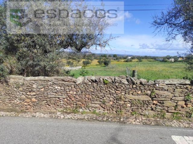 Terrenos Castelo Branco Castelo Branco DLS99201560