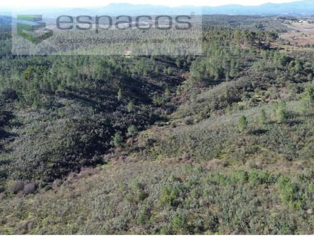 Terrenos Castelo Branco Castelo Branco DLS99343328