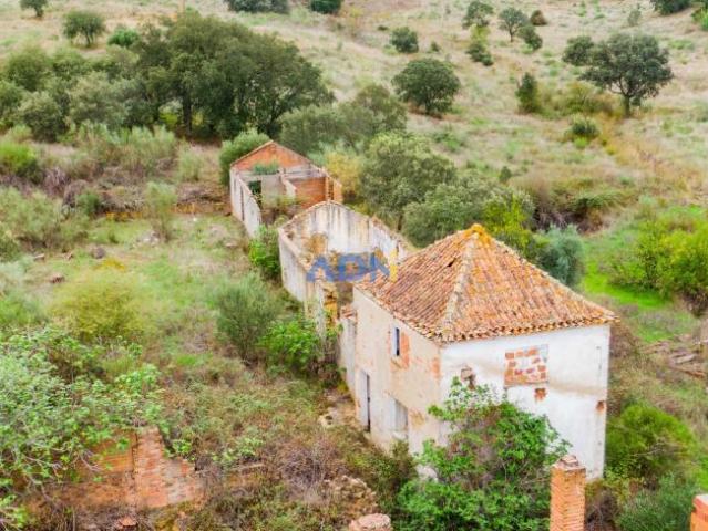 Terrenos Castelo Branco Castelo Branco DLS99727388