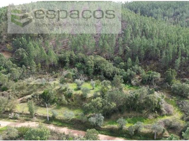 Terrenos Castelo Branco Castelo Branco DLS100126901