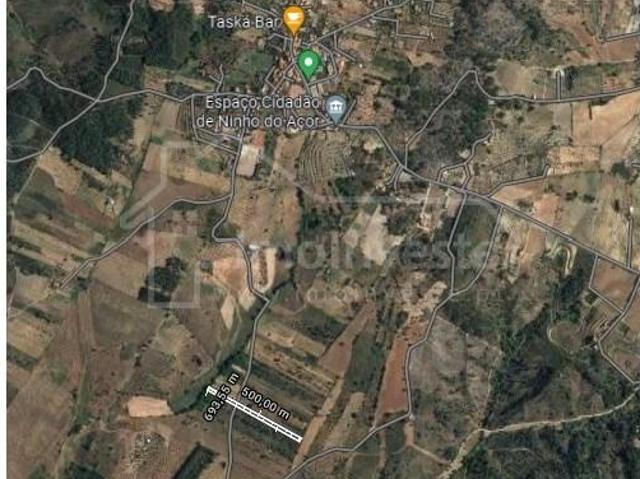 Terrenos Castelo Branco Castelo Branco DLS101764682