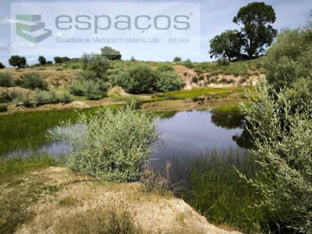 Terrenos Castelo Branco Castelo Branco DLS102558525