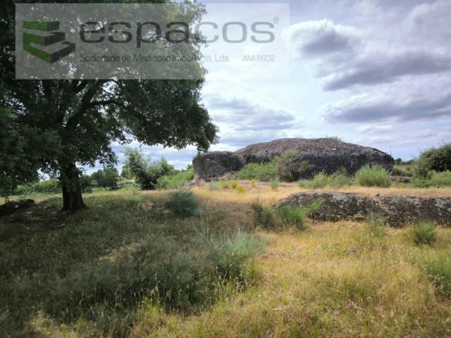 Terrenos Castelo Branco Castelo Branco DLS102558526
