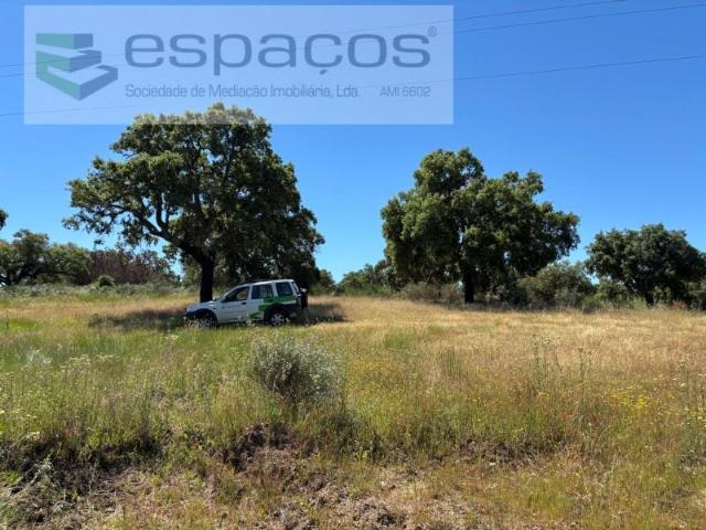 Terrenos Castelo Branco Castelo Branco DLS102723241