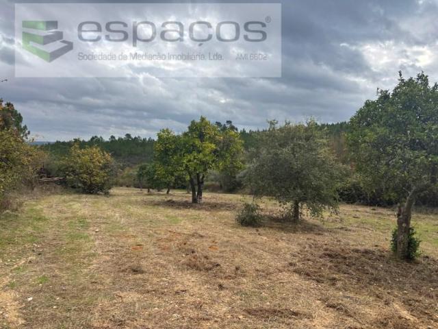 Terrenos Castelo Branco Castelo Branco DLS102723243
