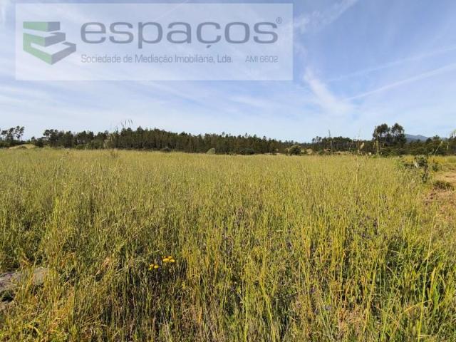 Terrenos Castelo Branco Castelo Branco DLS102763380
