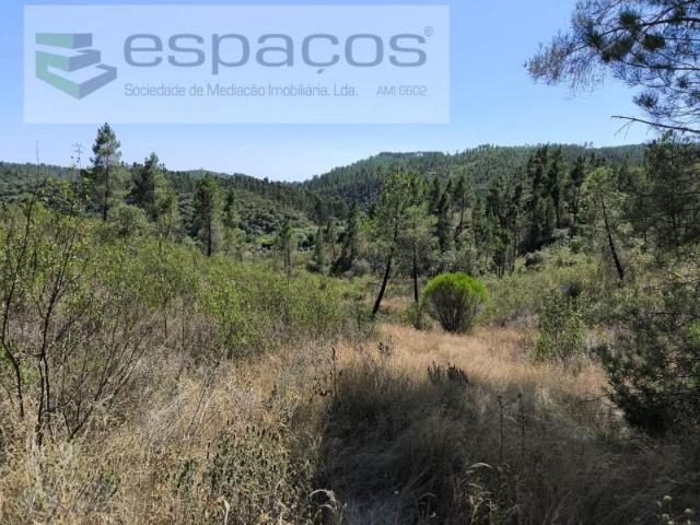 Terrenos Castelo Branco Castelo Branco DLS102763381