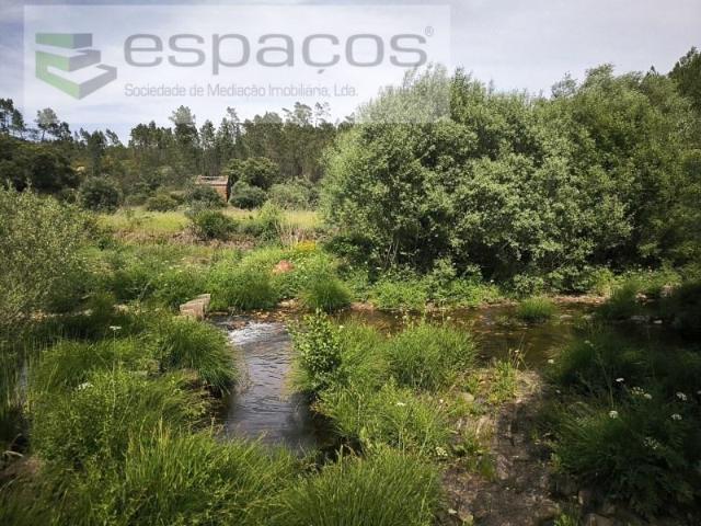 Terrenos Castelo Branco Castelo Branco DS102348991